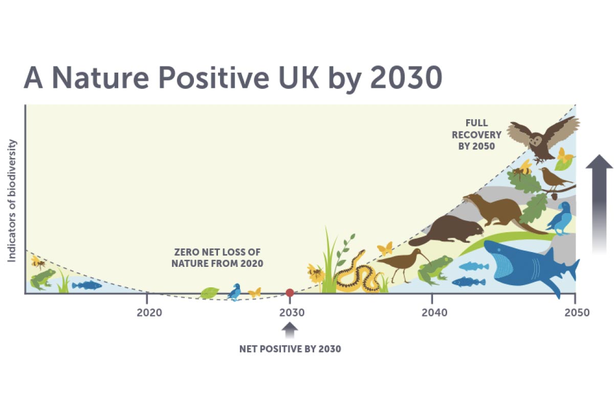 Nature-positive